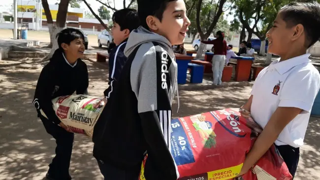 Niños aprenden empatía y respeto a los animales con colecta de alimento a perros de calle
