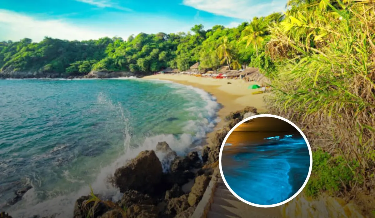 Estas son las playas de Oaxaca en donde podrás apreciar el fenómeno de bioluminiscencia. Foto: iStock.