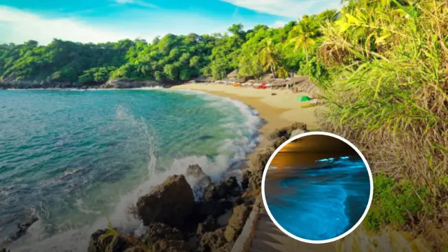 Estas son las playas de Oaxaca en donde podrás apreciar el fenómeno de bioluminiscencia. Foto: iStock.