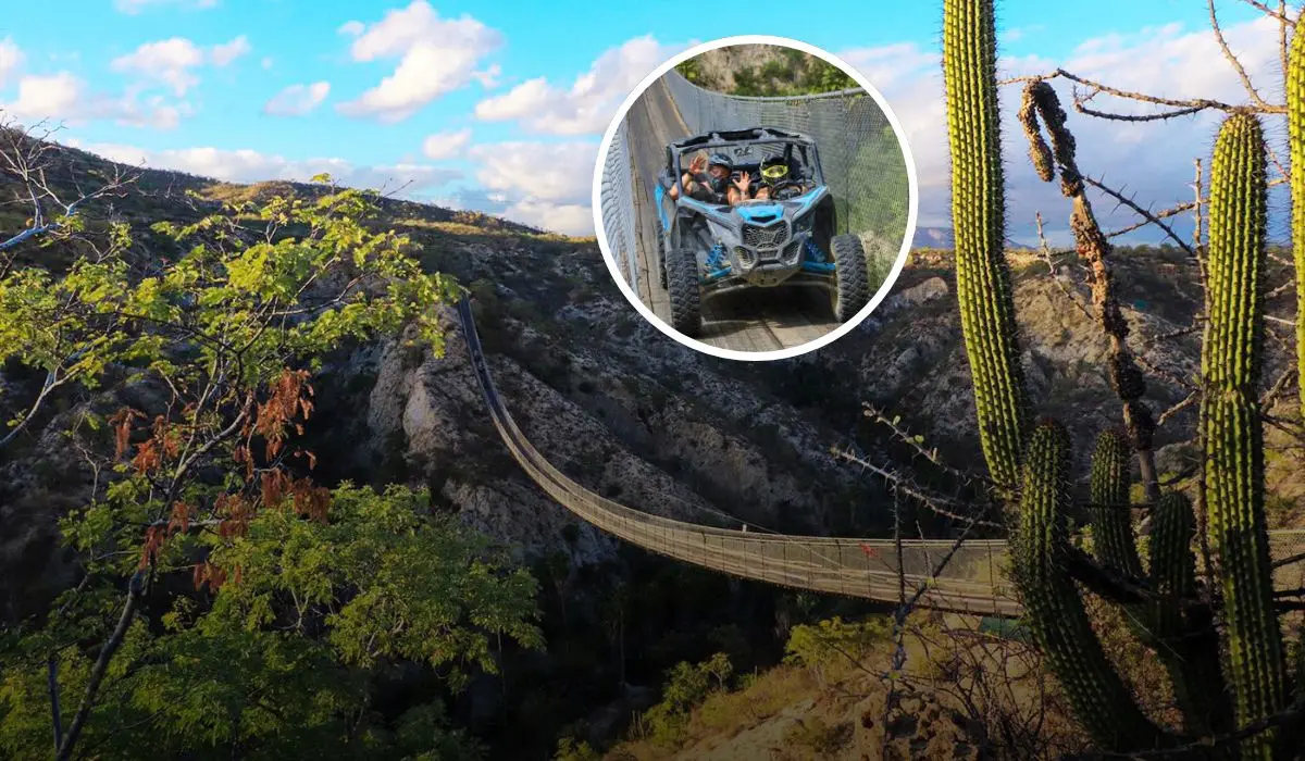 Este es el puente de madera más largo de México. Foto: Facebook Wild Canyon.