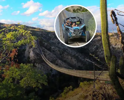 El puente de madera más largo de México está en Baja California Sur: Guía para visitarlo