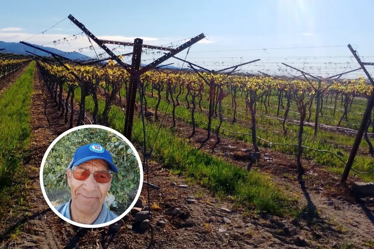 Héctor Sánchez Ibarra en los campos de limón amarillo, en Mecca, California. Imágenes de cortesía