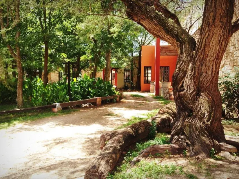 Vinícola Hacienda de Letras en Aguascalientes. Foto: México desconocido. 