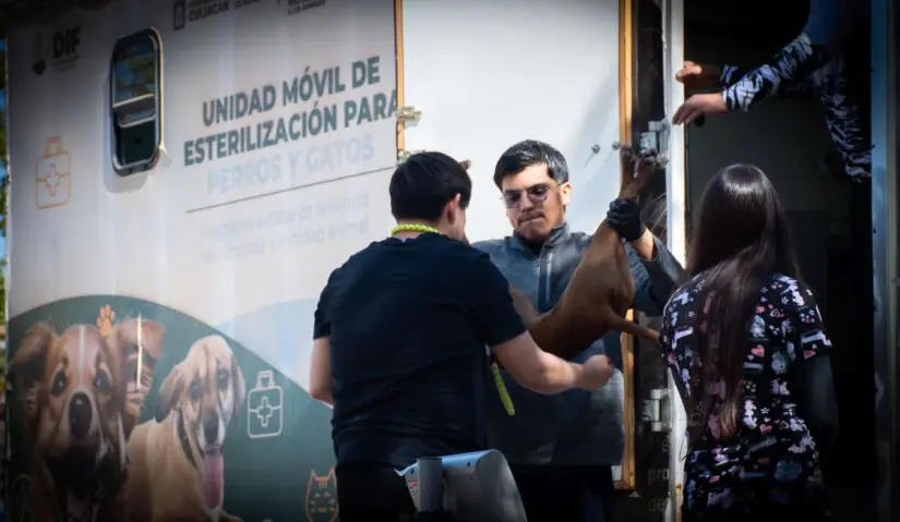 Campaña de esterelización para tus mascotas. Foto: Ayuntamiento de Culiacán.