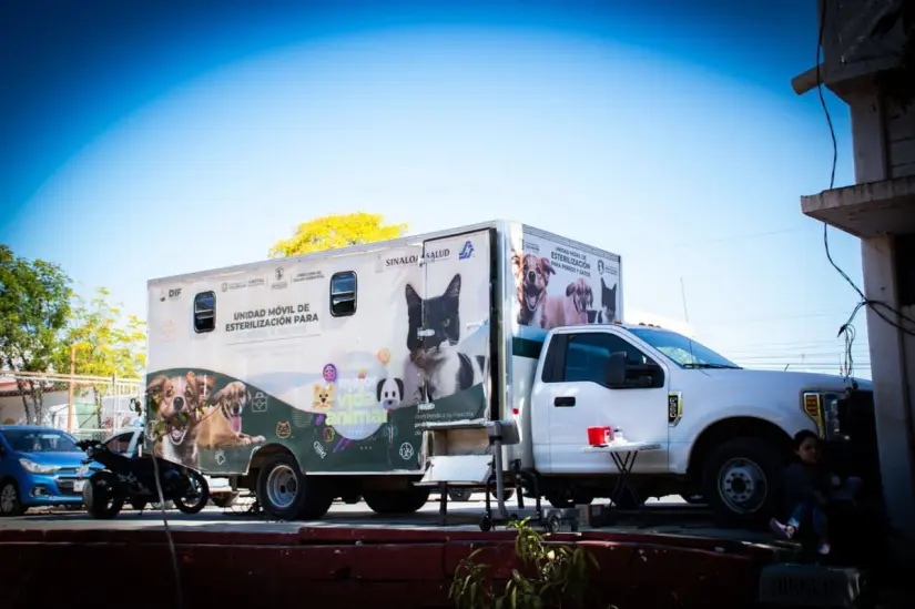 La esterilización gratuita en Culiacán es una iniciativa enfocada en promover el bienestar de los animales. Foto: Ayuntamiento de Culiacán.