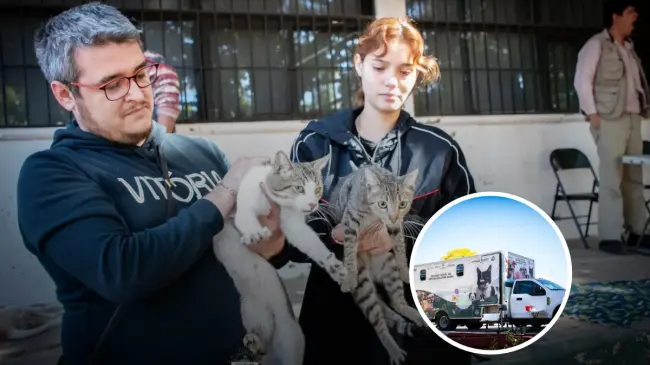 Campaña de esterilización para perros y gatos en la unidad DIF Vallado.