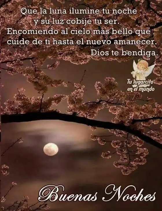 Frases para desear buenas noches 