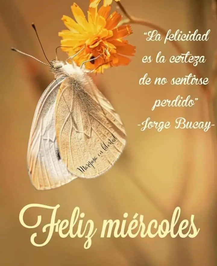 frases para desea un buen miércoles