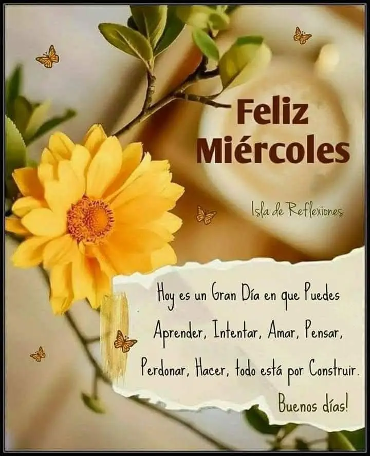 frases para motivarse en un miércoles 