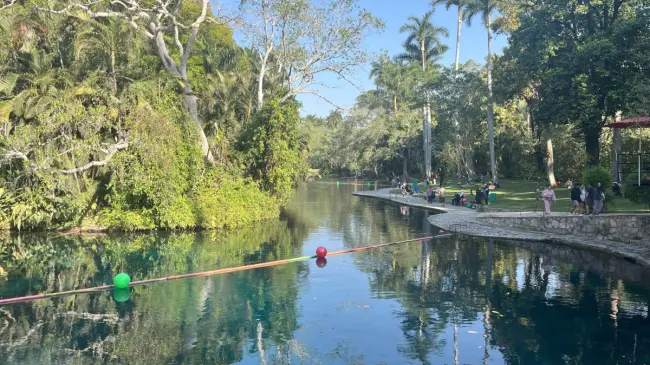 Las Estacas, un paraíso natural de aguas cristalinas, se encuentra ubicado en Morelos. Es un lugar ideal para el ecoturismo y la aventura.
