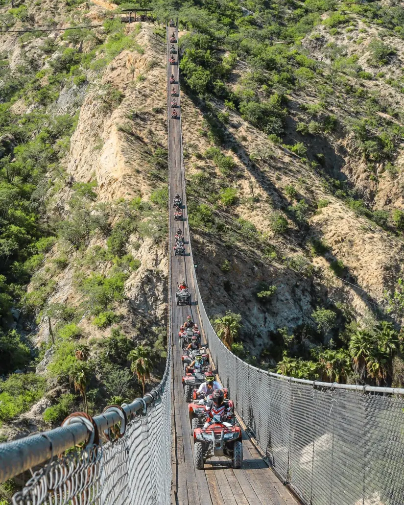 No te pierdas la oportunidad de conocer el puente de madera más grande de México. Foto: Facebook Wild Canyon. 