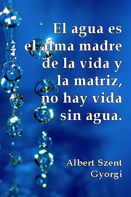 Frases sobre el cuidado del agua