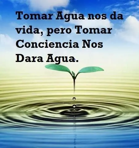 Frases sobre el cuidado del agua