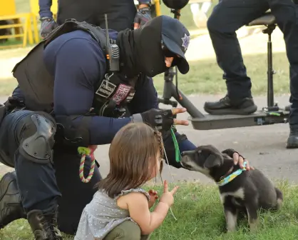 ´Chase´, el cachorro adoptado por policías, se convierte en un testimonio de empatía y solidaridad en Culiacán