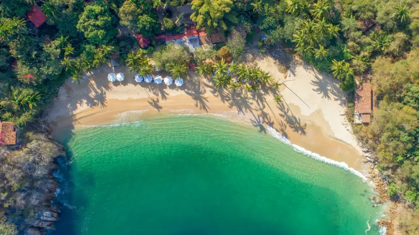 Conoce y disfruta de este increíble paraíso. Foto: Visita Puerto Vallarta. 