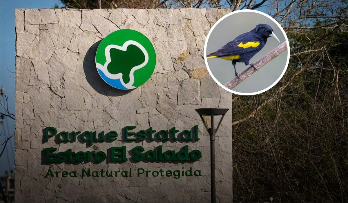 Parque Estero El Salado en Jalisco, contiene una gran biodiversidad. Foto: cortesía