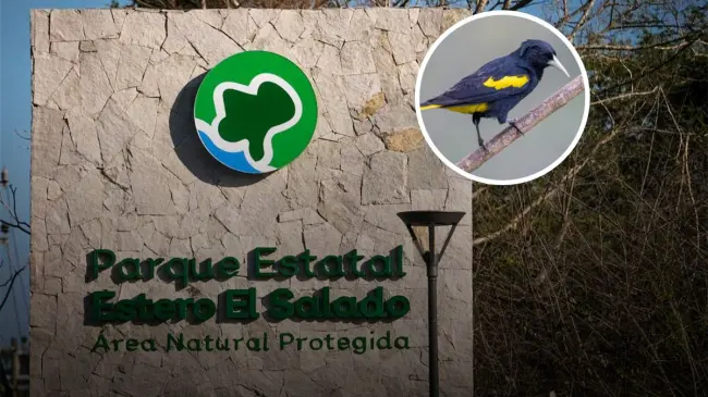 Parque Estero El Salado en Jalisco, contiene una gran biodiversidad. Foto: cortesía