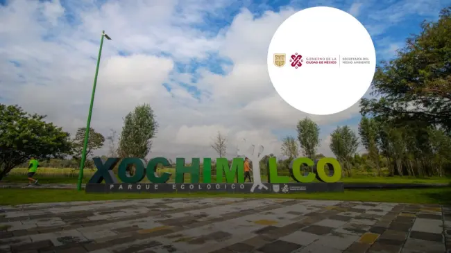 Parque Ecológico de Xochimilco, hogar de más de 50 aves migratorias. Foto: cortesía.