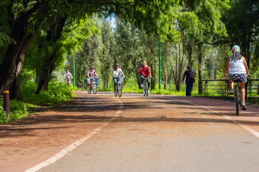 Trotapista, Parque Ecológico de Xochimilco. Foto: cortesía