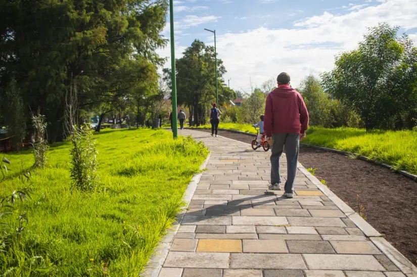 Visitas guiada, Parque Ecológico de Xochimilco. Foto: cortesía