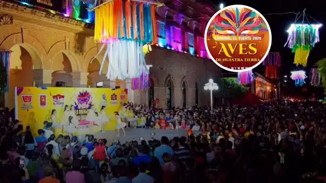 Carnaval El Fuerte invita a disfrutar del Carnaval “Aves de nuestra tierra”. Foto: Cortesía.