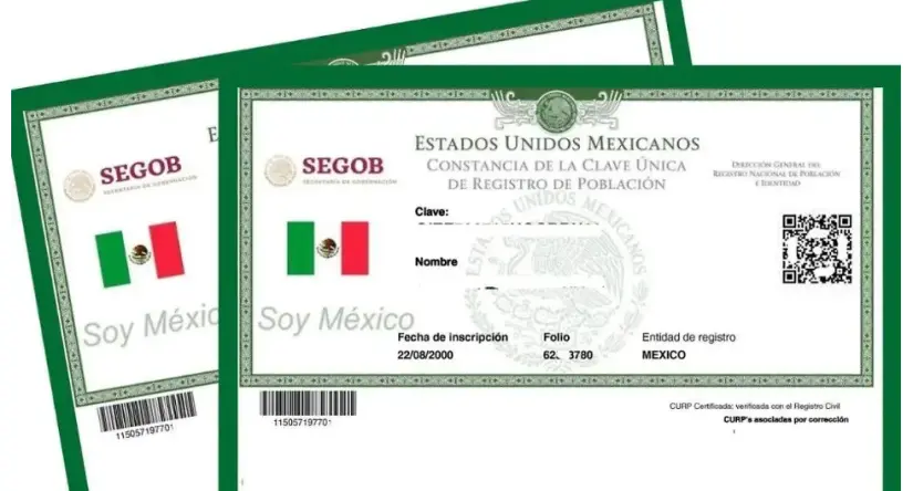 Certifica tu CURP. Foto: Gobierno de México