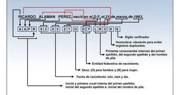 Cómo está compuesta la CURP. Foto: registrocivil.edomex.gob.mx