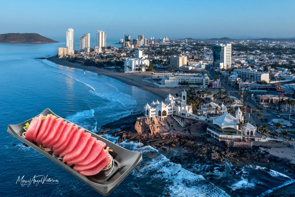 Se usarán más de 5 toneladas de atún para hacer el sashimi más grande del mundo en Mazatlán. Foto: Sinaloa 360 / Edición: TBN