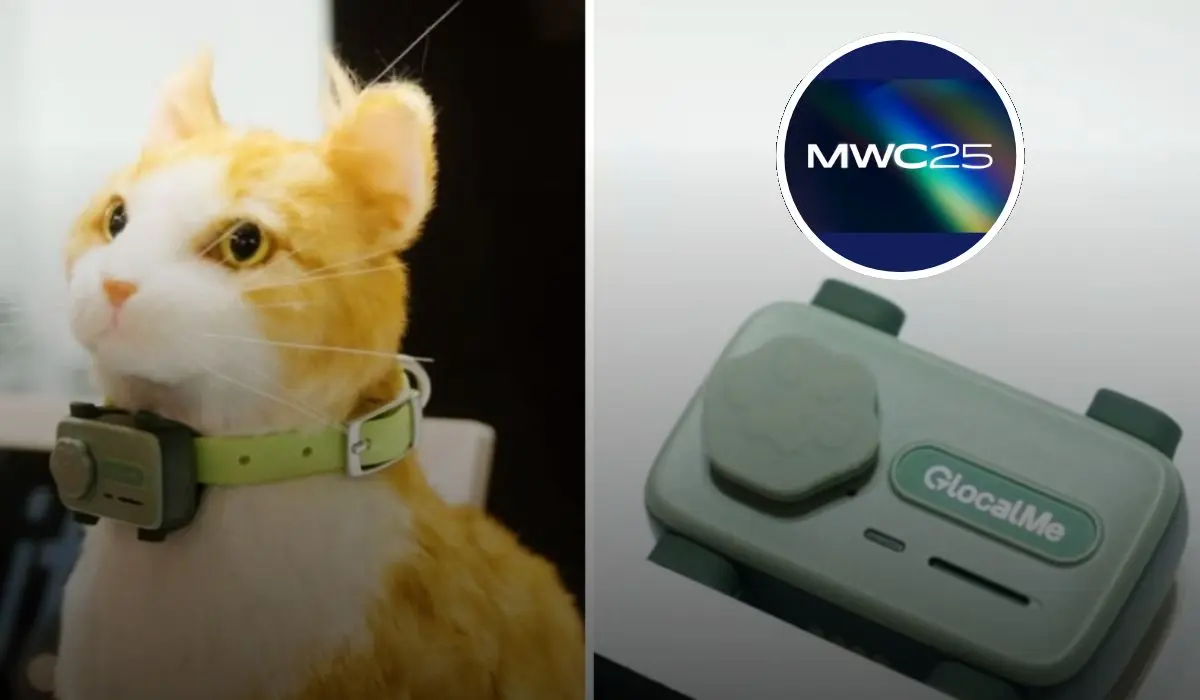 Compañía china crea tecnología que permitirá comunicarte con tu mascota. Foto: cortesía.