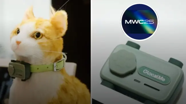 Compañía china crea tecnología que permitirá comunicarte con tu mascota. Foto: cortesía.