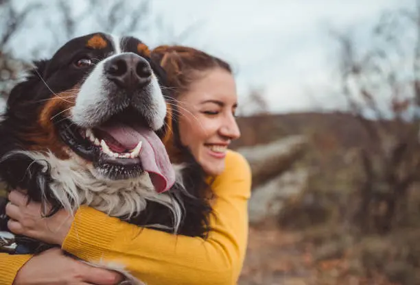 Registra a tu mascota de compañía próximamente en Querétaro. Foto: iStock. 