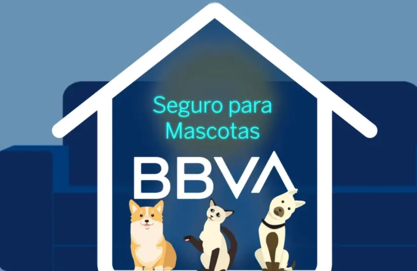 ¿Cuánto cuesta el seguro para mascotas en BBVA y qué beneficios ofrece?