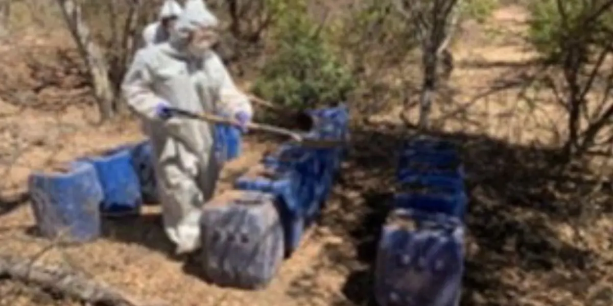  Laboratorios clandestinos en Culiacán y Cosalá.