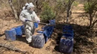 Desmantelan nueve laboratorios clandestinos en Culiacán y Cosalá