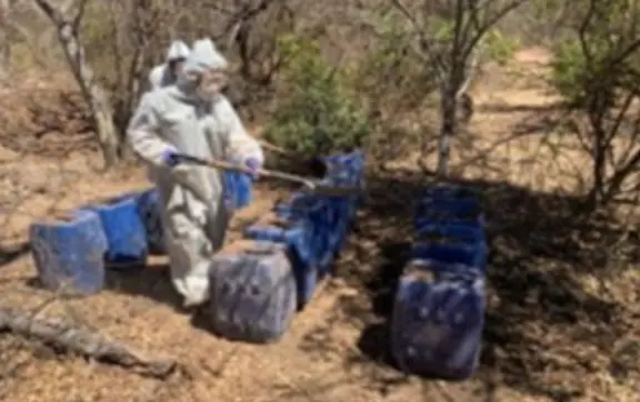 Desmantelan nueve laboratorios clandestinos en Culiacán y Cosalá