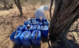 Desmantelan siete laboratorios clandestinos en Culiacán y Cosalá