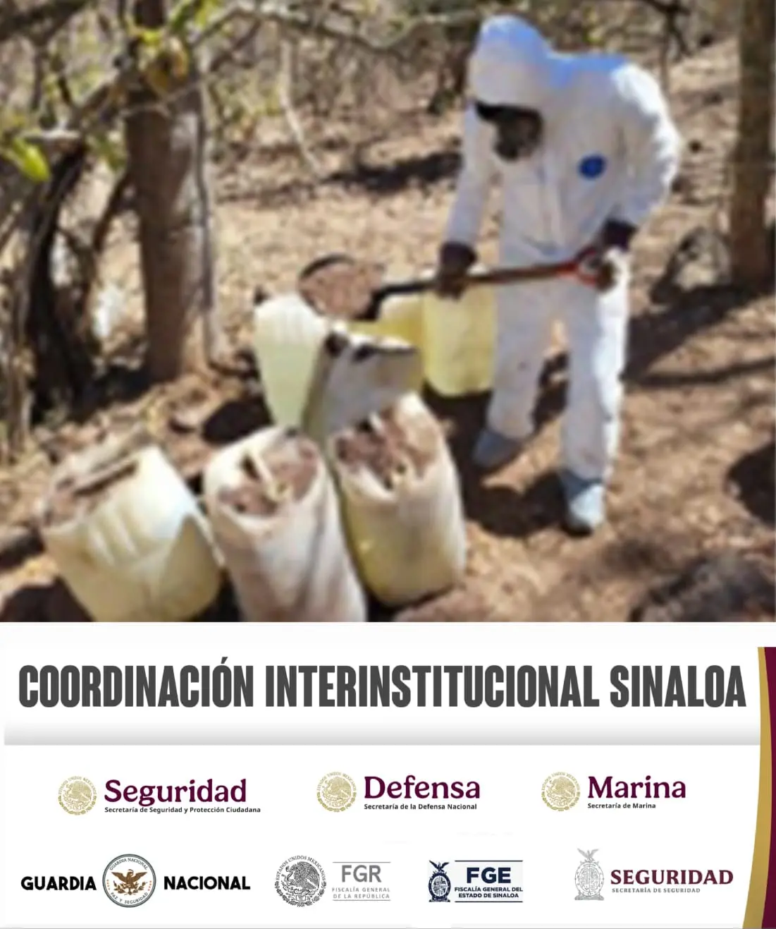 Laboratorios para la elaboración de droga decomisados.