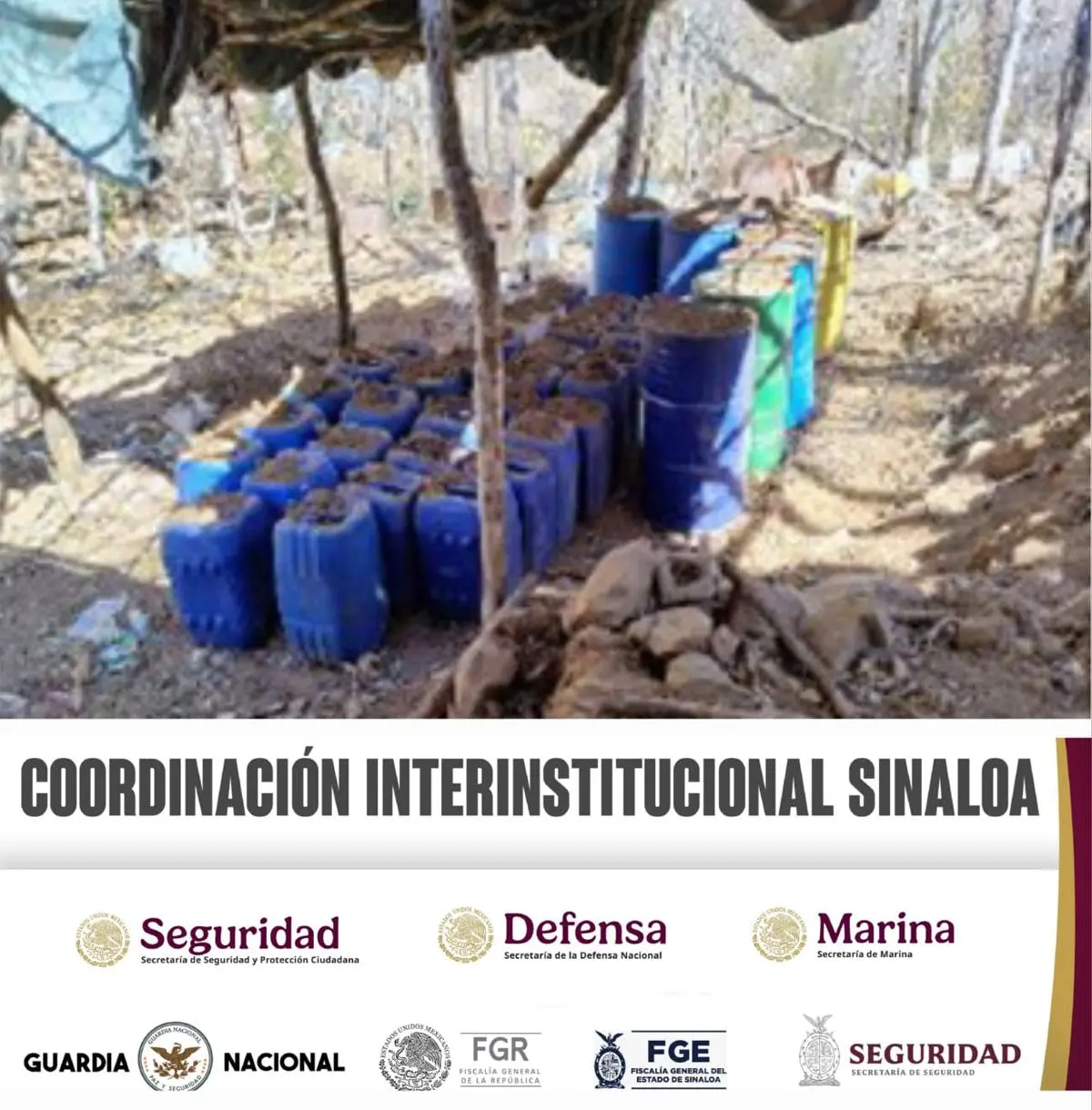 Narcolaboratorios decomisados