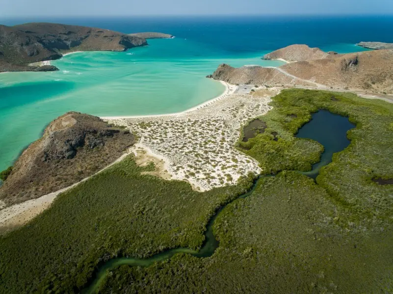 Playa Balandra, en Baja California Sur. Foto: Ayuntamiento de La Paz. 