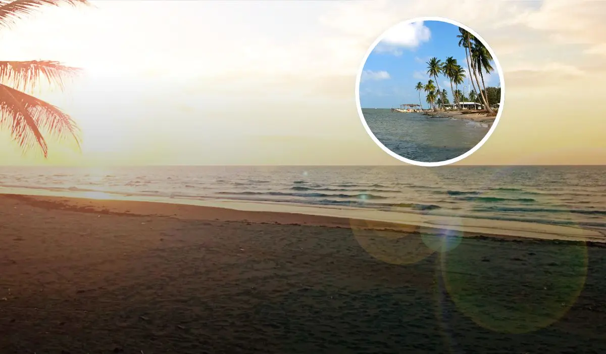 Estas son las playas en Tabasco para visitar esta Semana Santa. Foto: Programa Destinos México.