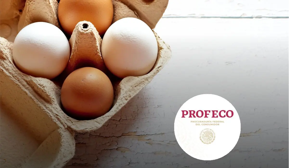 Profeco comparte consejos para la conservación del alimento
