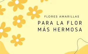 Día de las Flores Amarillas 2025; frases e imágenes lindas para dedicar este 21 de marzo