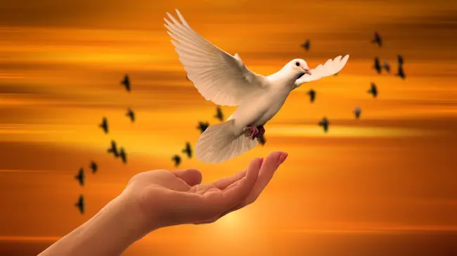 Símbolo de paz. Imagen. Pixabay.