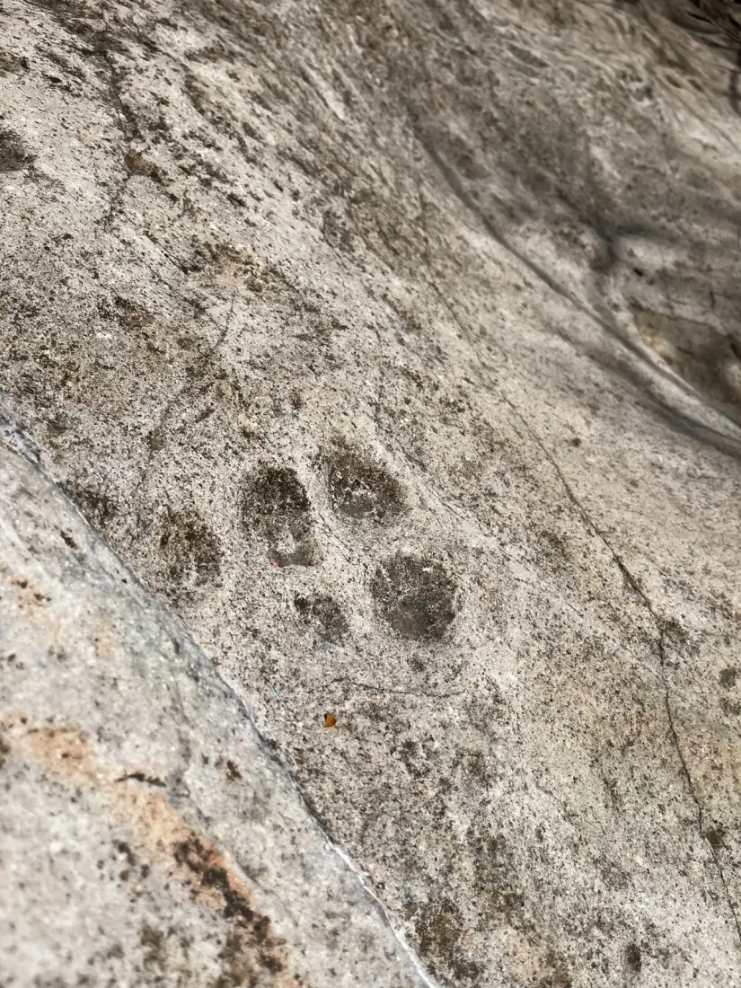 Así se vivió el ritual del Equinoccio de Primavera en los petroglifos de La Piedra Pintada, El Tecomate