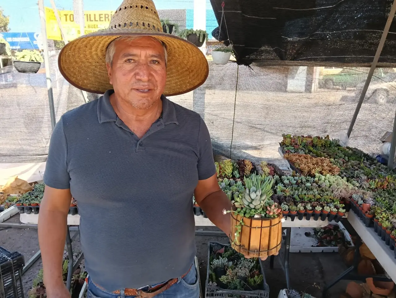 Armando Cárdenas es el hombre del vivero que tiene una gran variedad de plantas.