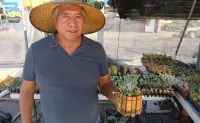 Armando Cárdenas es el hombre que comparte vida verde cada vez que llega a Culiacán