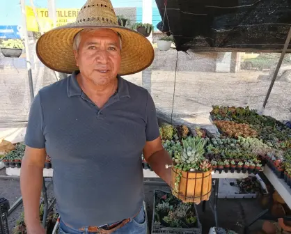 Armando Cárdenas es el hombre que comparte vida verde cada vez que llega a Culiacán