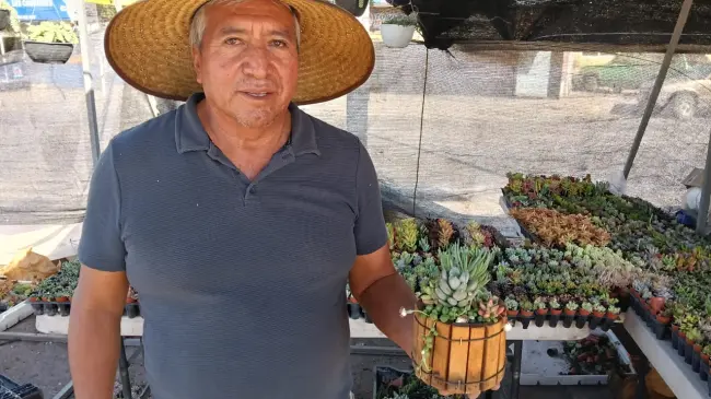 Armando Cárdenas es el hombre del vivero que tiene una gran variedad de plantas.