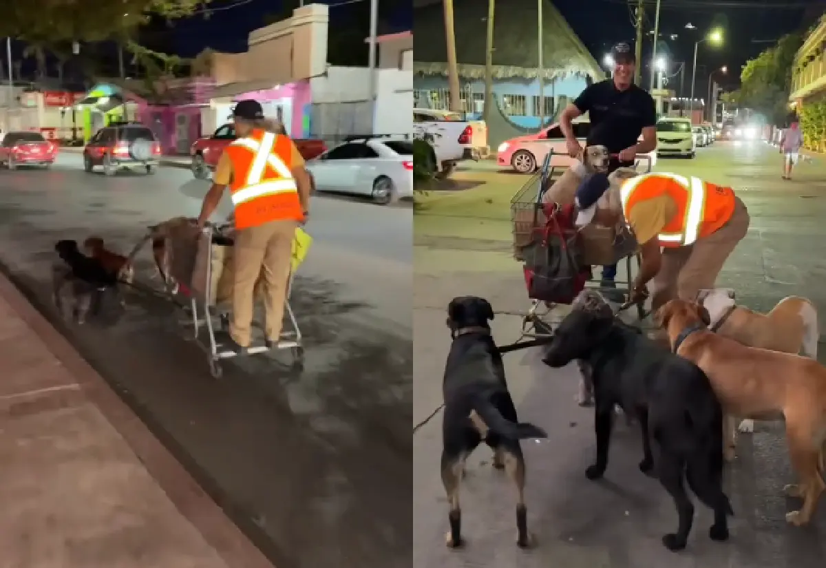 Es en Cabo San Lucas dónde el hombre promueve la adopción perruna. Foto: Captura de pantalla