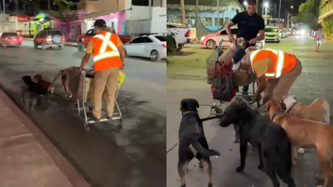 Es en Cabo San Lucas dónde el hombre promueve la adopción perruna. Foto: Captura de pantalla